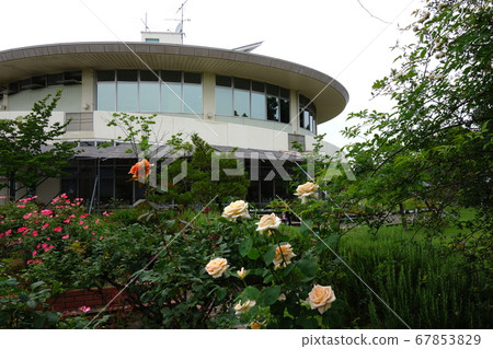 Road Station Meguma Agri Park Rose Garden 67853829