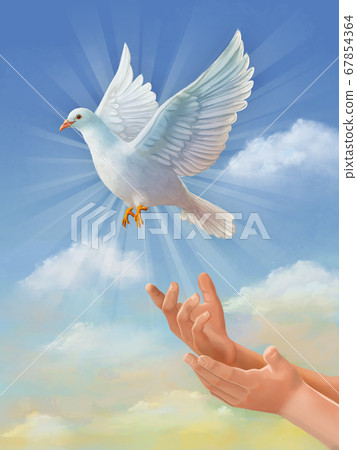 white dove flying drawing