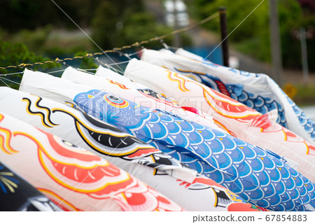    Carp streamer 67854883