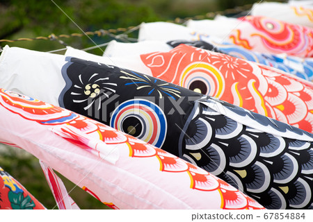 Carp streamer Carp streamer 67854884