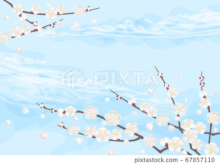 裝飾背景白色李子和藍天 裝飾背景白色李子和藍天 67857110