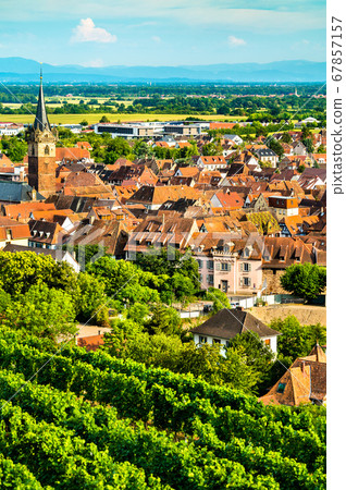 Obernai town with vineyards in Bas-Rhin, France 67857157