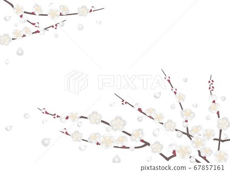 Decorative frame-white plum Decorative frame-white plum 67857161