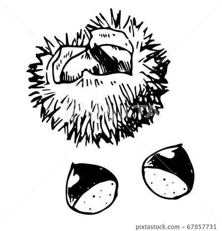 I want to draw with a pen I want to draw with a pen 67857731