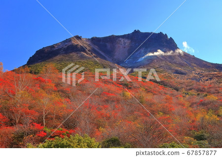 [To木縣]秋葉下的紅葉。 67857877