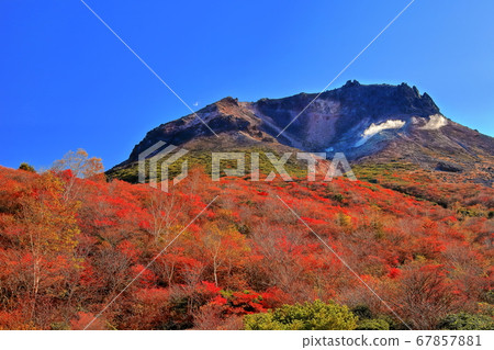 [To木縣]秋葉下的紅葉。 67857881