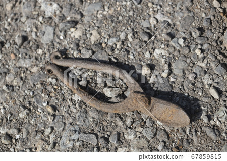 生鏽的花剪刀 生鏽的花剪刀 67859815