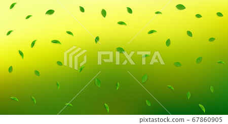 Falling green leaves. Fresh tea random leaves flyi 67860905