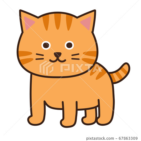 可愛的貓咪貓圖 插圖素材 圖庫