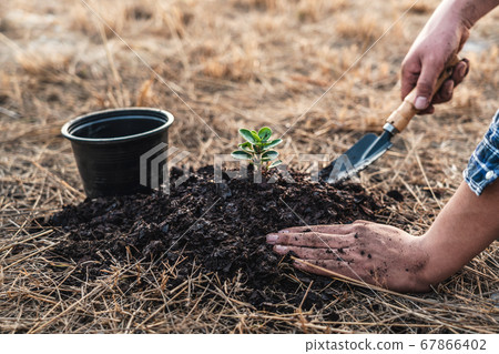 Environment earth day, Hands of man planting the Environment earth day, Hands of man planting the 67866402