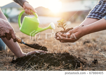Environment earth day, Hands of tree man helping Environment earth day, Hands of tree man helping 67866405