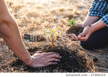 Environment earth day, Hands of two man helping 67866434