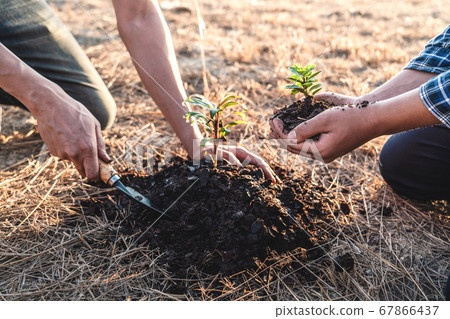 Environment earth day, Hands of two man helping Environment earth day, Hands of two man helping 67866437