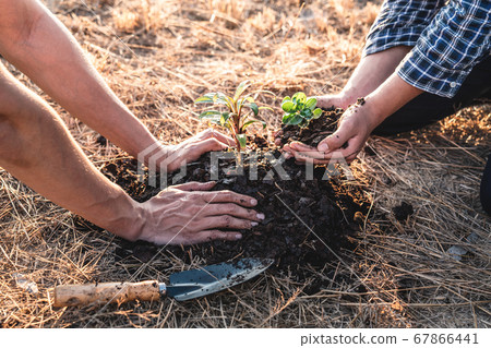 Environment earth day, Hands of two man helping Environment earth day, Hands of two man helping 67866441