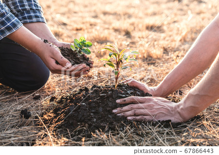 Environment earth day, Hands of two man helping Environment earth day, Hands of two man helping 67866443