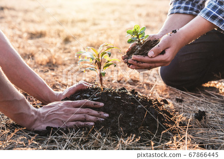 Environment earth day, Hands of two man helping Environment earth day, Hands of two man helping 67866445