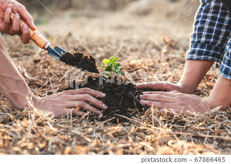 Environment earth day, Hands of two man helping Environment earth day, Hands of two man helping 67866465