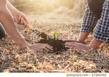 Environment earth day, Hands of two man helping Environment earth day, Hands of two man helping 67866466