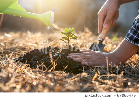 Environment earth day, Hands of two man helping 67866479