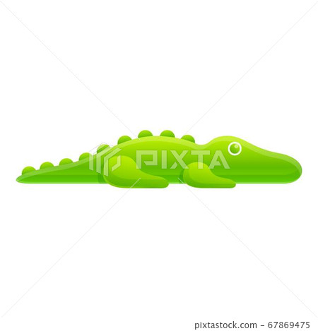 alligator bath toy