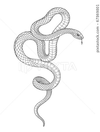 Vector Hand Drawn Monochrome Snake 67869801