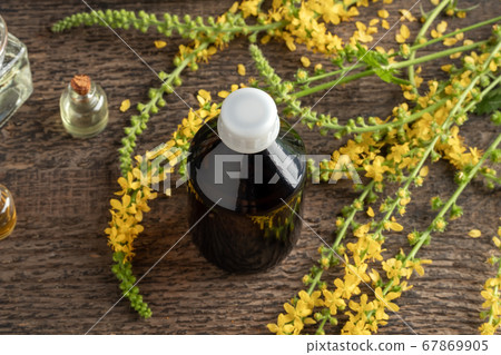 A bottle of herbal tincture made from agrimony A bottle of herbal tincture made from agrimony 67869905