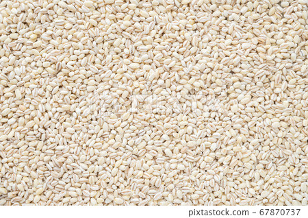 One side of raw rice cake 67870737