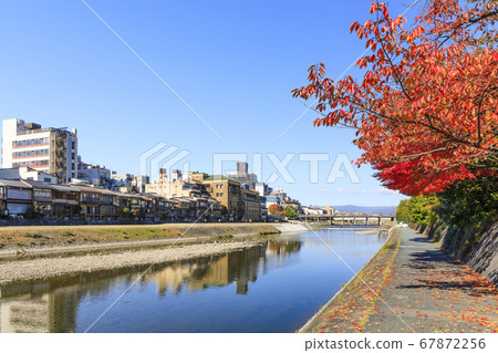 京都，秋天的鴨川和秋天的落葉 67872256