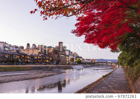 Kyoto, autumn Kamogawa and autumn leaves 67872261