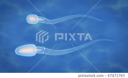 3d render of sperm that aspire to the ovary to fertilize it 3d render of sperm that aspire to the ovary to fertilize it 67872765