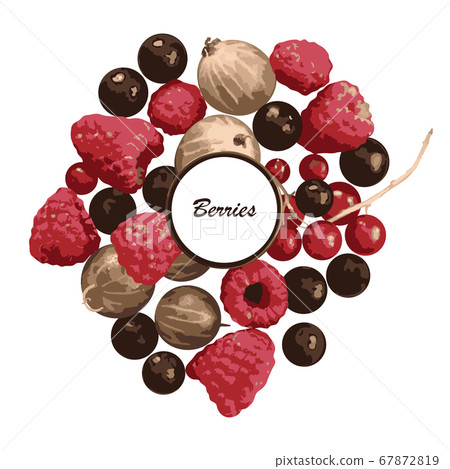 Berries, raspberry, gooseberry, blueberry, currant 67872819