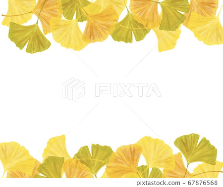 Ginkgo of various colors Copy space Watercolor style illustration Ginkgo of various colors Copy space Watercolor style illustration 67876568