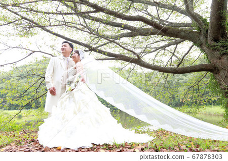 婚紗禮服和燕尾服新娘新郎婚禮現場拍攝 67878303