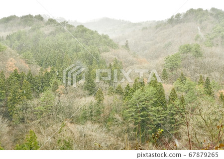 Snow scene of Ozhiroyama plateau Snow scene of Ozhiroyama plateau 67879265