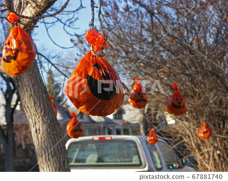 Halloween decorations 67881740
