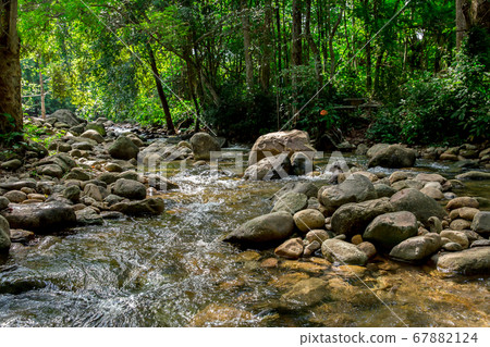 Bulgaria, Forest, River, Stream - Body of Water, Bulgaria, Forest, River, Stream - Body of Water, 67882124