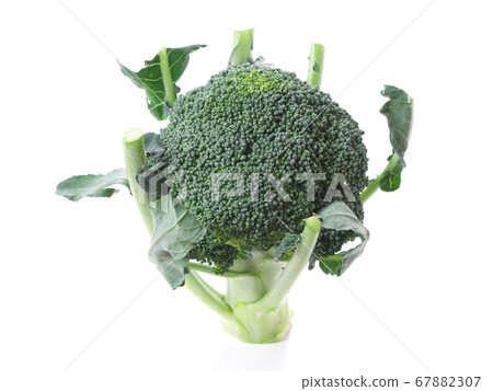 西蘭花 西蘭花 67882307