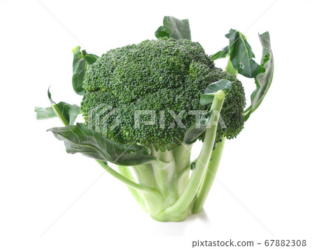 broccoli broccoli 67882308