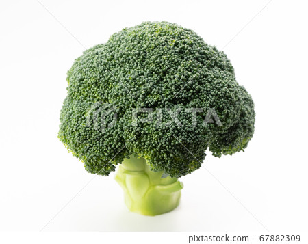 西蘭花 西蘭花 67882309