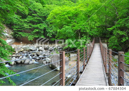 Shiobara Onsen Sennin-iwa Suspension Bridge, Clear Kamogawa River and Fresh Green 67884304