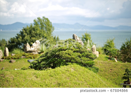 Sinan 1004 Island Bonsai Park 67884866