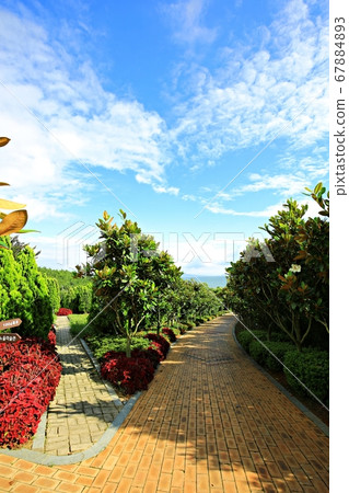 思南1004島盆景公園 67884893