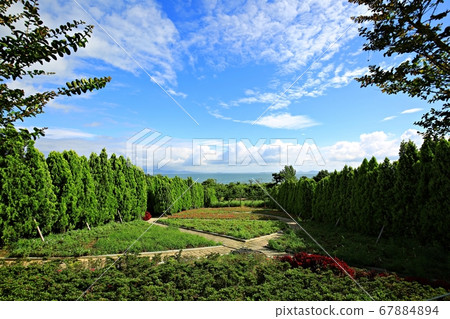 Sinan 1004 Island Bonsai Park Sinan 1004 Island Bonsai Park 67884894