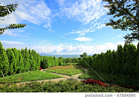 Sinan 1004 Island Bonsai Park 67884895