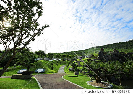 Sinan 1004 Island Bonsai Park Sinan 1004 Island Bonsai Park 67884928