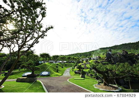 Sinan 1004 Island Bonsai Park Sinan 1004 Island Bonsai Park 67884929