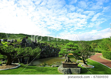 Sinan 1004 Island Bonsai Park Sinan 1004 Island Bonsai Park 67884930