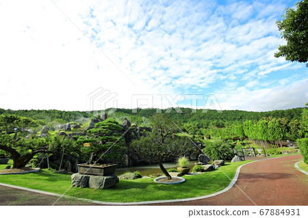Sinan 1004 Island Bonsai Park Sinan 1004 Island Bonsai Park 67884931