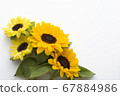 向日葵 67884986