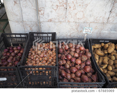 Onions and potatoes lined up in overseas greengrocers Onions and potatoes lined up in overseas greengrocers 67885069